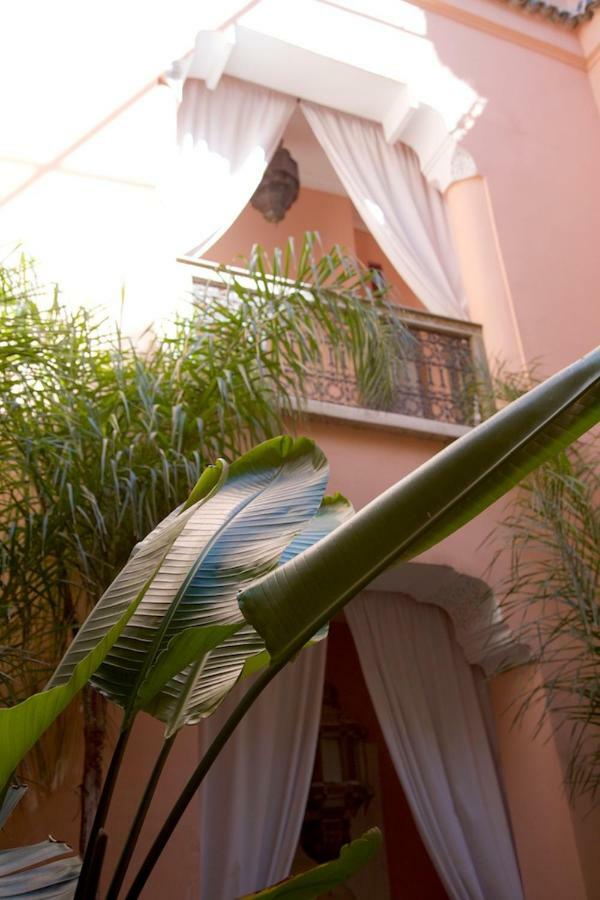 The Bohemian Jungle Marrakesch